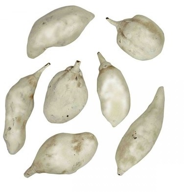 Fruits du baobab déco blancs - Lot de 3