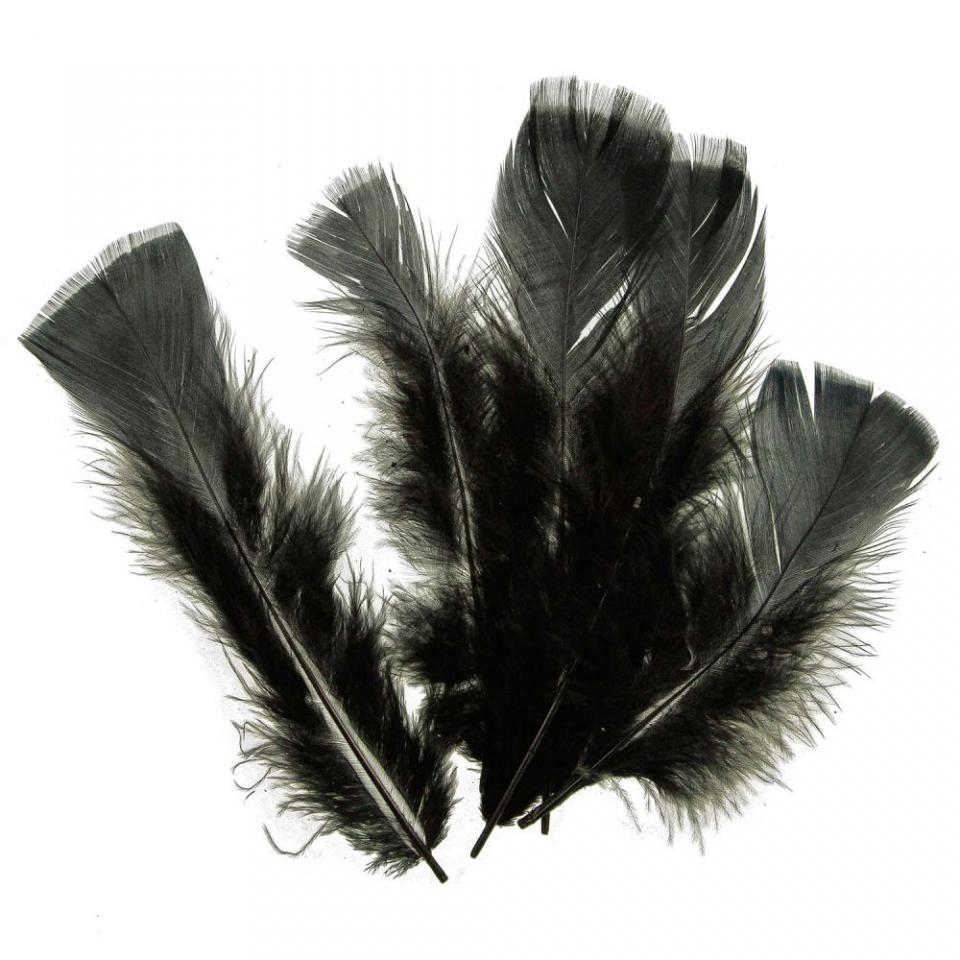 Plumes pied plat de dinde - 5 grammes - Noir