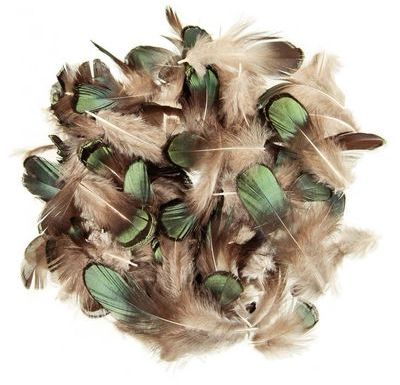 Plumes de faisan de Lady Amherst amande bronze - 5