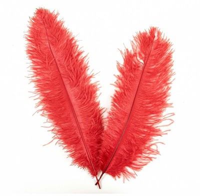 Plumes de blondine - 30 à 40 cm - Lot de 5 - Rouge