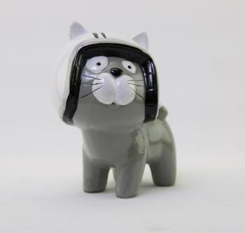 CHAT CRAZY avec casque