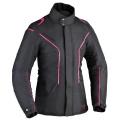 Comtesse Noir Fuchsia