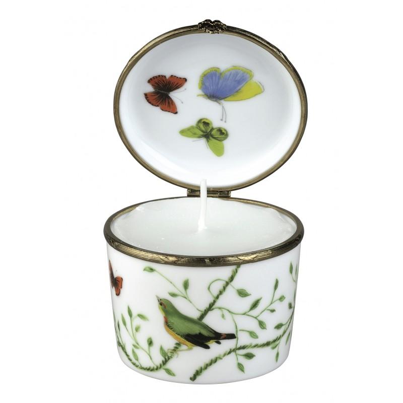 Pot à bougie Oiseaux n°1 - Histoire naturelle