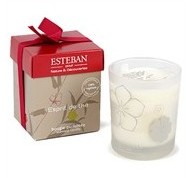 Bougie esprit de thé Esteban