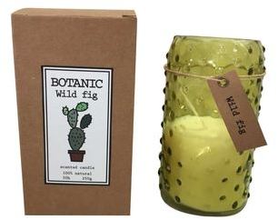 Bougie parfum figue sauvage Botanic (D.7xH.13.5cm)