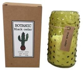 Bougie parfum cèdre noir Botanic (D.7xH.13.5cm)