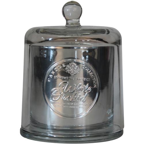 Bougie parfum White Orchid cloche en verre (D.13,5