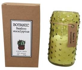 Bougie parfum bambou & eucalyptus Botanic (D.7xH.1