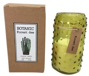 Bougie parfum rosée forestière Botanic (D.7xH.13.5
