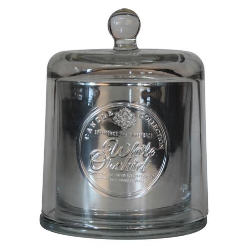 Bougie parfum White Orchid cloche en verre (D.10,5