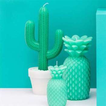 Bougie Cactus Bougie Cactus