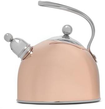 Bouilloire Bredemeijer 2,5 L