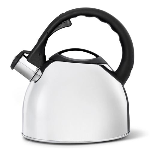 Bouilloire Bredemeijer 2,5 L