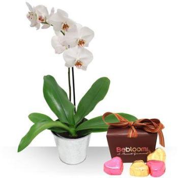 Orchidée et ses chocolats