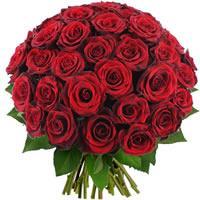 40 ROSES ROUGES
