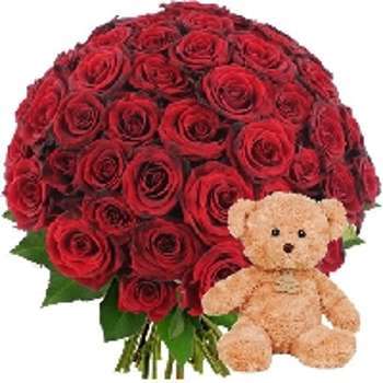 60 ROSES ROUGES OURSON MARRON 60 ROSES ROUGES OURSON MARRON