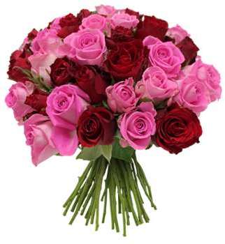 Brassée rose et rouge 10 roses offertes Brassée rose et rouge 10 roses