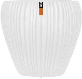 Bac Fibres et magnesium Vany Ext. Bullet Bas D 31