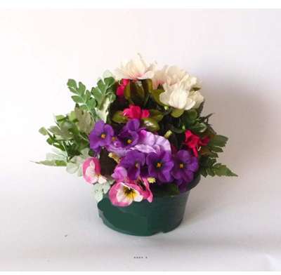 Composition Vasque Cyclamen, pensee lestee pour ex
