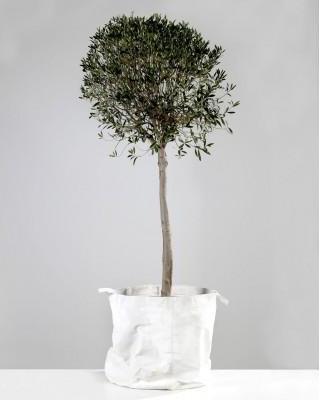 Sac Cache Pot XL Toile Canvas Blanc Serax Sac Cache Pot XL Toile Canvas
