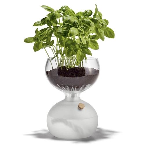 GAIA M pot à reservoir deau pour herbes aromatiqu
