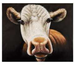 Tableau sur toile peint à la main - COW POP