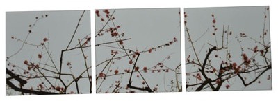 Cadre imprimé 3 photos - L. 150 cm - Fleurs