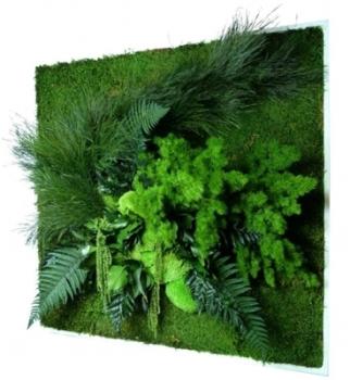 Tableau nature carré XL avec plantes stabilisées 8
