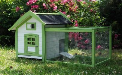 CAGE CLAPIER BOIS LAPIN ALICE