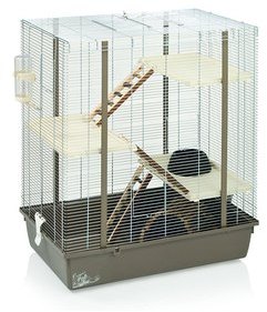 Cage Rongeurs Cody Rat Chinchillas