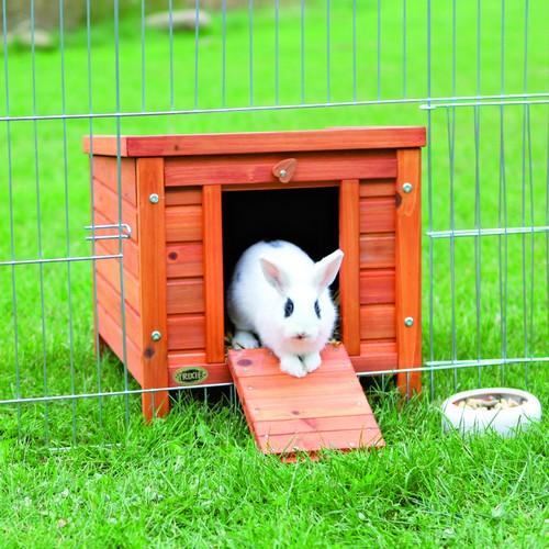 Habitat en pin vernis Natura pour rongeurs