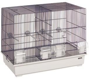 Cage Timor pour oiseaux