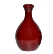 Pichet revitalisant Bioceram rouge