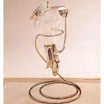 Egouttoir à carafe fil avec coupelle