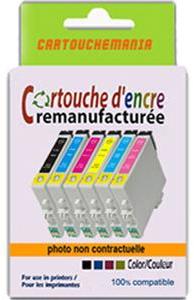Cartouche compatible EPSON P50(T0807) (gamme premi