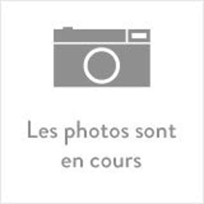 Led Lenser adaptateur secteur USB avec cable Micro