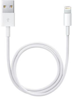Apple Câble Lightning vers USB 0 5 m Apple Câble Lightning vers