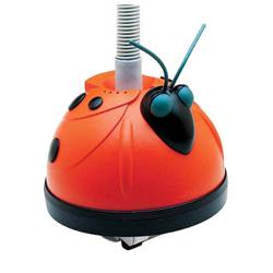 Robot Magic Clean hayward