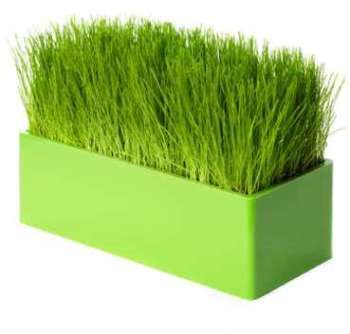 Fair Way vert, le chemin de table végétal