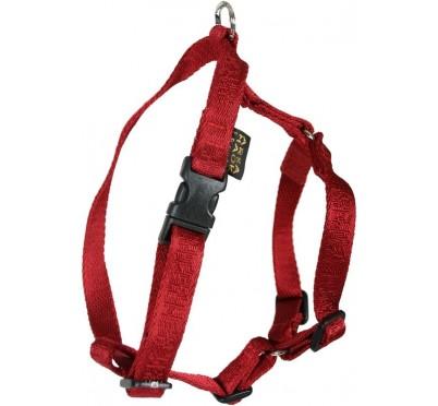 HARNAIS COULEUR RUBIS