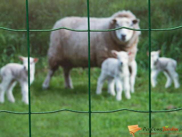 Grillage en maille rectangulaire acier galvanisé v