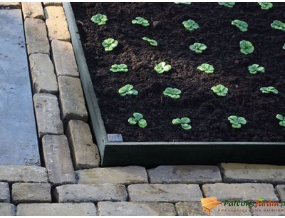 Bordure de jardin en PVC BorderFix à planter L2m