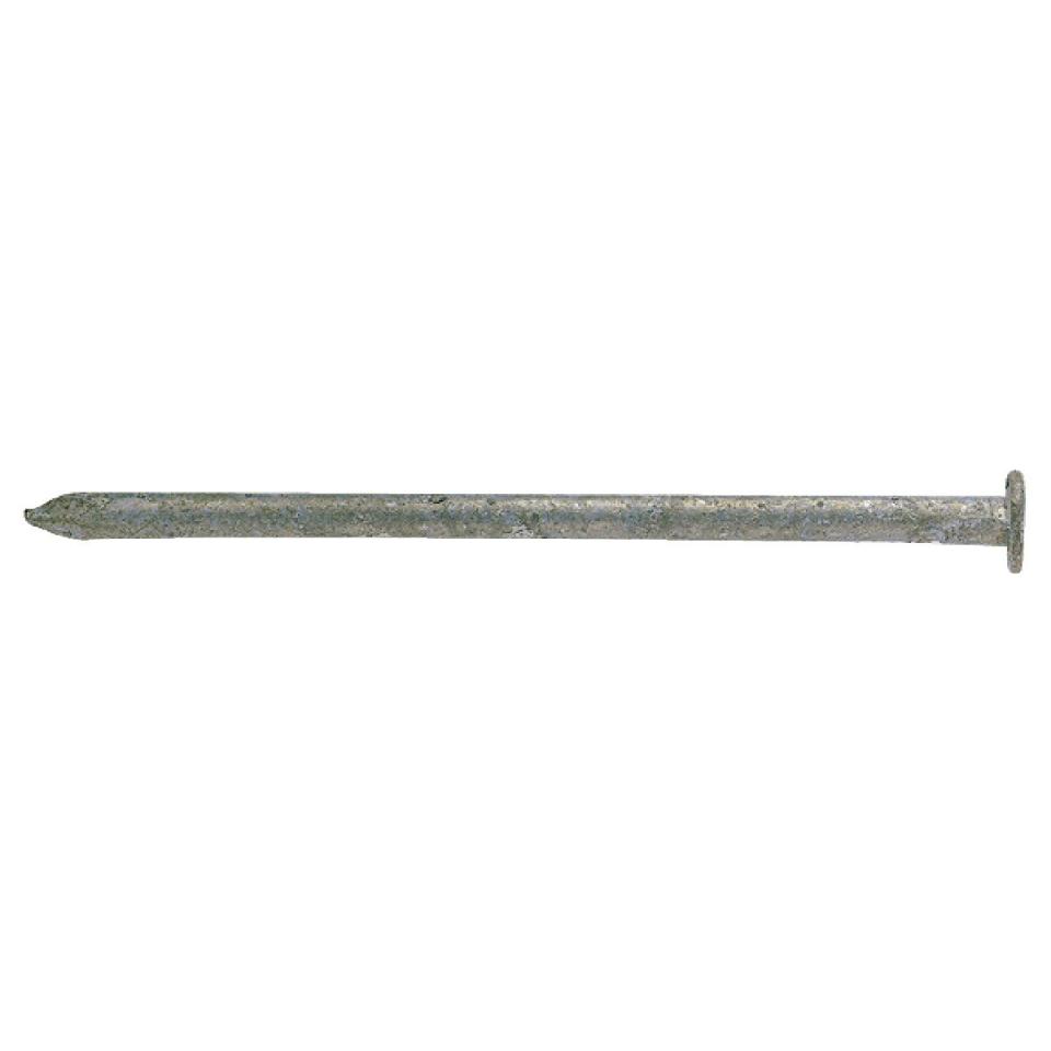 Pointe galvanisée tête plate Arcelor Mittal - Long