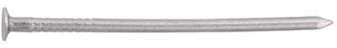 Pointe acier inox tête plate Pointe acier inox tête plate