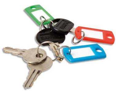 Lot de 100 porte-clés - coloris assortis Dimensions Lot de 100 porte-clés - coloris