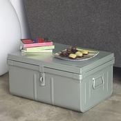 Malle de rangement métal 52x37cm SAFE Aluminium