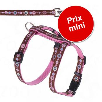 Lot Hunter Signs : harnais + laisse pour chat ou c