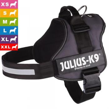 Harnais Julius-K9 Power, anthracite - taille Baby