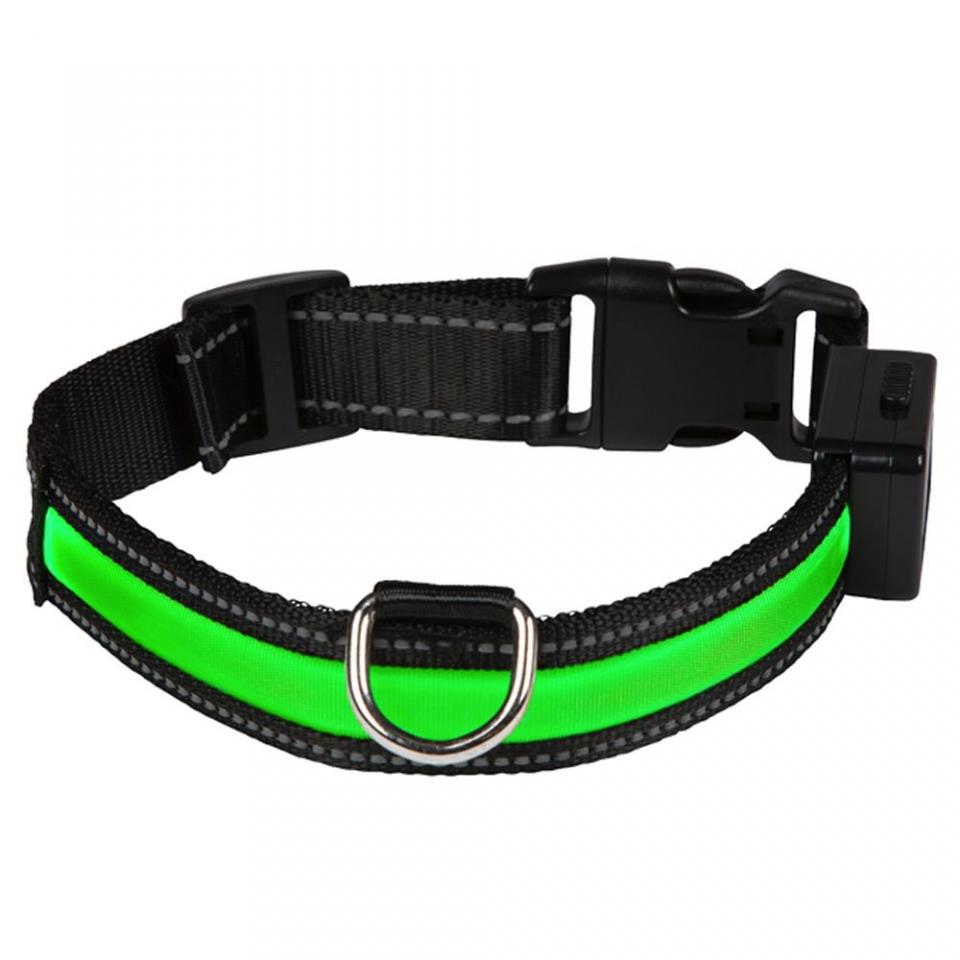 Collier lumineux à LED Eyenimal, vert pour chien -