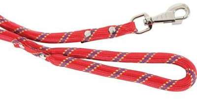 Laisse nylon corde 6 mètres